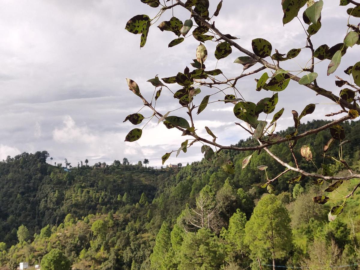 Orchard Hill Retreat Hotel Mukteshwar Buitenkant foto